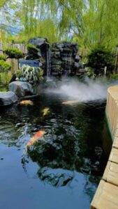 FB IMG 1722897295429