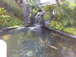 FB IMG 1725357229835