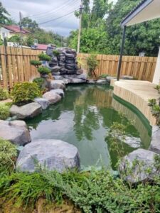 FB IMG 1725357262916