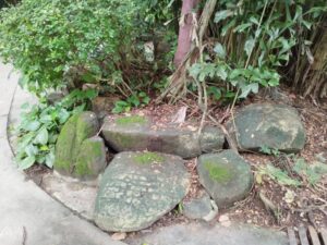 IMG 20240920 103112