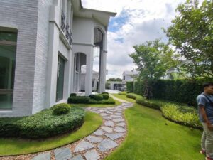 SiamKoiHouse.co .th สร้างสรรค์ บ่อปลาคาร์ฟและสวนสวยในฝัน ด้วยทีมงานมืออาชีพ 100