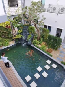 SiamKoiHouse.co .th สร้างสรรค์ บ่อปลาคาร์ฟและสวนสวยในฝัน ด้วยทีมงานมืออาชีพ 122