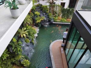 SiamKoiHouse.co .th สร้างสรรค์ บ่อปลาคาร์ฟและสวนสวยในฝัน ด้วยทีมงานมืออาชีพ 123