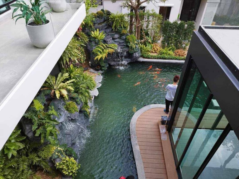 SiamKoiHouse.co.th สร้างสรรค์ บ่อปลาคาร์ฟและสวนสวยในฝัน ด้วยทีมงานมืออาชีพ (123)