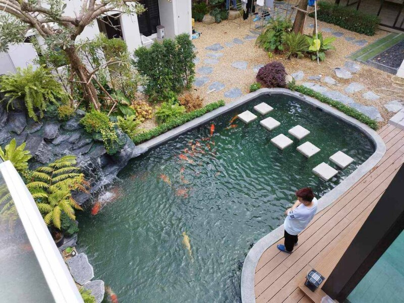 SiamKoiHouse.co.th สร้างสรรค์ บ่อปลาคาร์ฟและสวนสวยในฝัน ด้วยทีมงานมืออาชีพ (126)