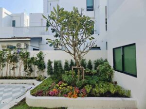 SiamKoiHouse.co .th สร้างสรรค์ บ่อปลาคาร์ฟและสวนสวยในฝัน ด้วยทีมงานมืออาชีพ 138