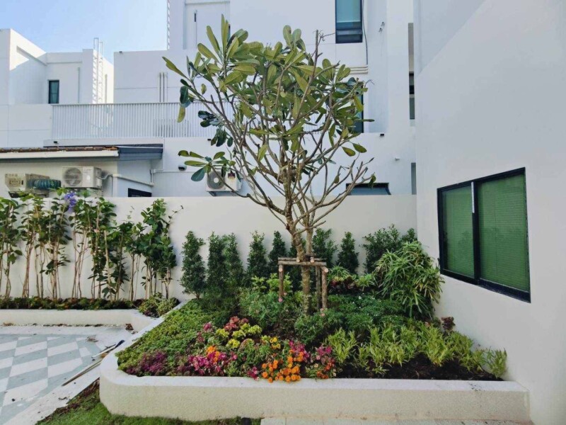 SiamKoiHouse.co.th สร้างสรรค์ บ่อปลาคาร์ฟและสวนสวยในฝัน ด้วยทีมงานมืออาชีพ (138)