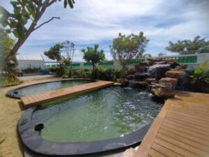 SiamKoiHouse.co .th สร้างสรรค์ บ่อปลาคาร์ฟและสวนสวยในฝัน ด้วยทีมงานมืออาชีพ 143