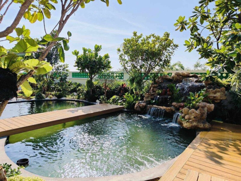 SiamKoiHouse.co.th สร้างสรรค์ บ่อปลาคาร์ฟและสวนสวยในฝัน ด้วยทีมงานมืออาชีพ (145)