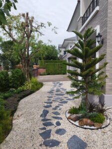 SiamKoiHouse.co .th สร้างสรรค์ บ่อปลาคาร์ฟและสวนสวยในฝัน ด้วยทีมงานมืออาชีพ 150