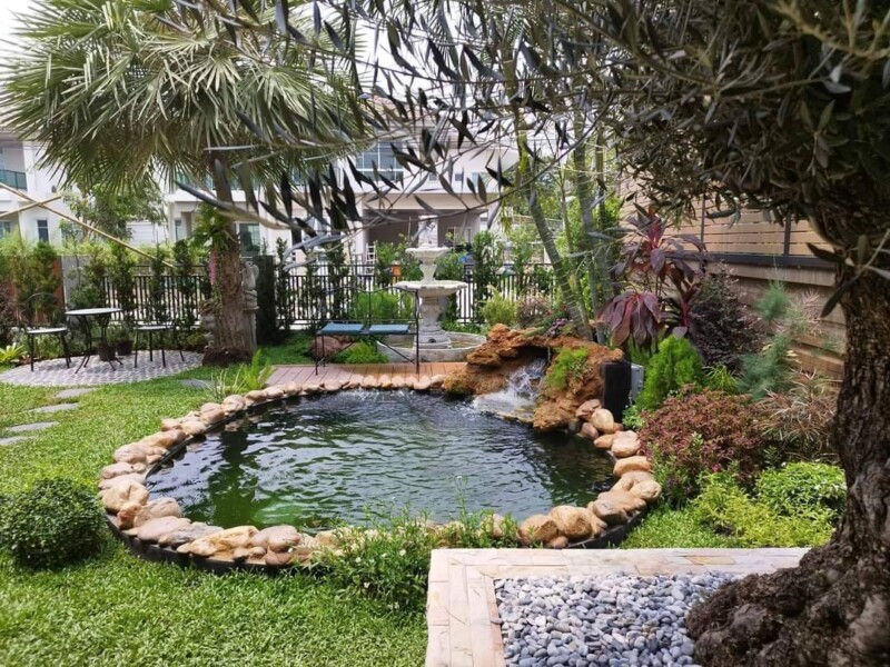 SiamKoiHouse.co.th สร้างสรรค์ บ่อปลาคาร์ฟและสวนสวยในฝัน ด้วยทีมงานมืออาชีพ (156)