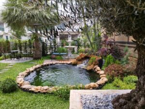 SiamKoiHouse.co .th สร้างสรรค์ บ่อปลาคาร์ฟและสวนสวยในฝัน ด้วยทีมงานมืออาชีพ 160