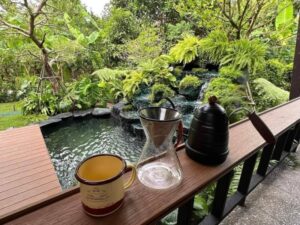 SiamKoiHouse.co .th สร้างสรรค์ บ่อปลาคาร์ฟและสวนสวยในฝัน ด้วยทีมงานมืออาชีพ 17