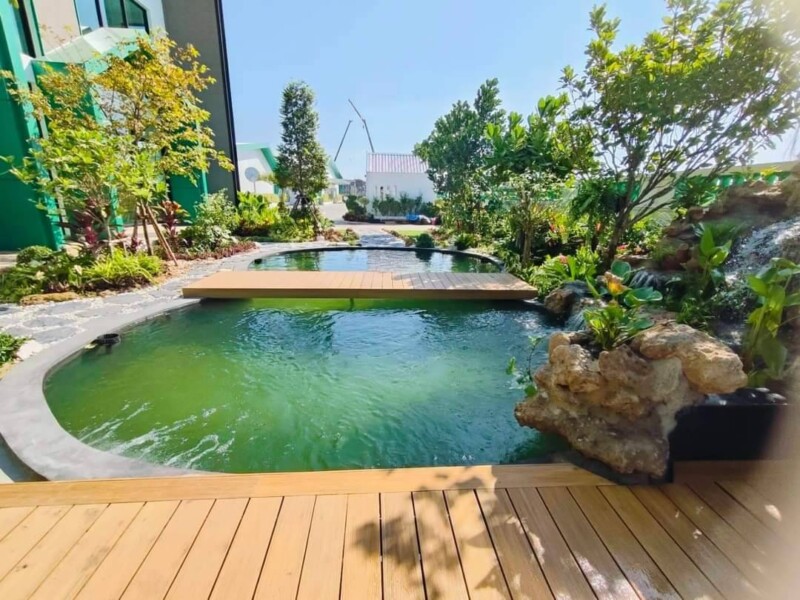 SiamKoiHouse.co.th สร้างสรรค์ บ่อปลาคาร์ฟและสวนสวยในฝัน ด้วยทีมงานมืออาชีพ (176)