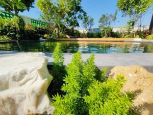 SiamKoiHouse.co .th สร้างสรรค์ บ่อปลาคาร์ฟและสวนสวยในฝัน ด้วยทีมงานมืออาชีพ 179