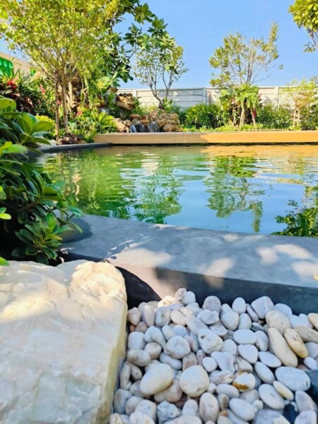 SiamKoiHouse.co.th สร้างสรรค์ บ่อปลาคาร์ฟและสวนสวยในฝัน ด้วยทีมงานมืออาชีพ (180)