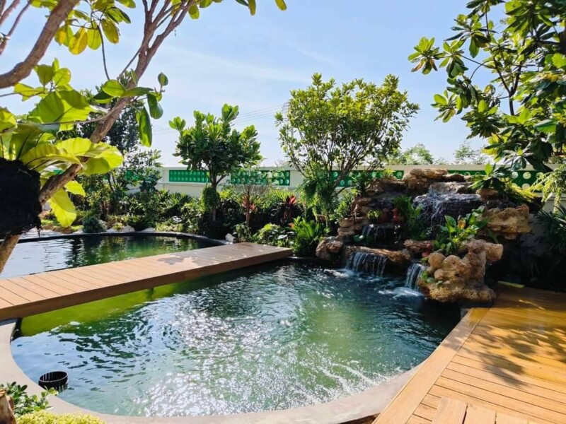 SiamKoiHouse.co.th สร้างสรรค์ บ่อปลาคาร์ฟและสวนสวยในฝัน ด้วยทีมงานมืออาชีพ (182)
