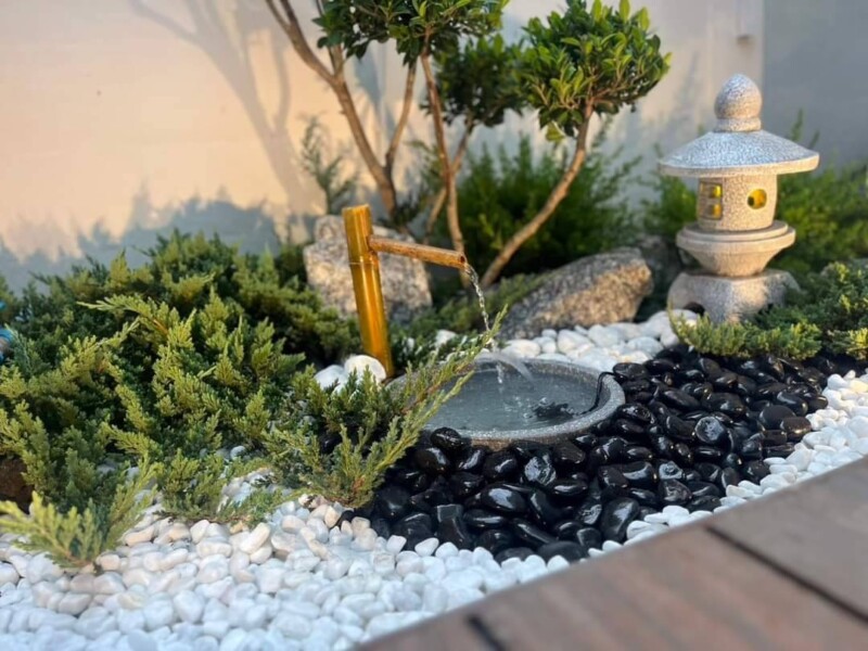 SiamKoiHouse.co.th สร้างสรรค์ บ่อปลาคาร์ฟและสวนสวยในฝัน ด้วยทีมงานมืออาชีพ (192) SiamKoiHouse.co.th สร้างสรรค์ บ่อปลาคาร์ฟและสวนสวยในฝัน ด้วยทีมงานมืออาชีพ (192)