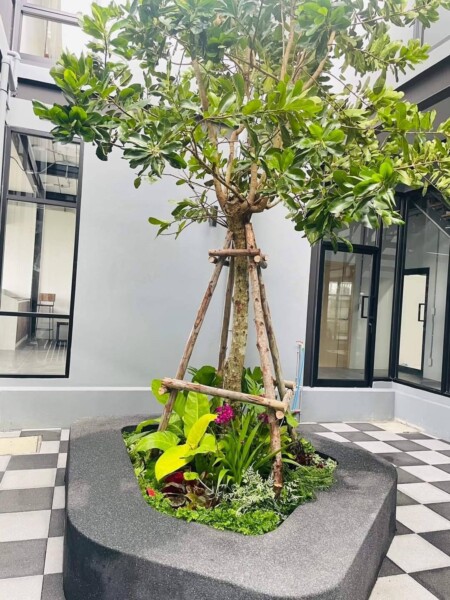 SiamKoiHouse.co.th สร้างสรรค์ บ่อปลาคาร์ฟและสวนสวยในฝัน ด้วยทีมงานมืออาชีพ (197)