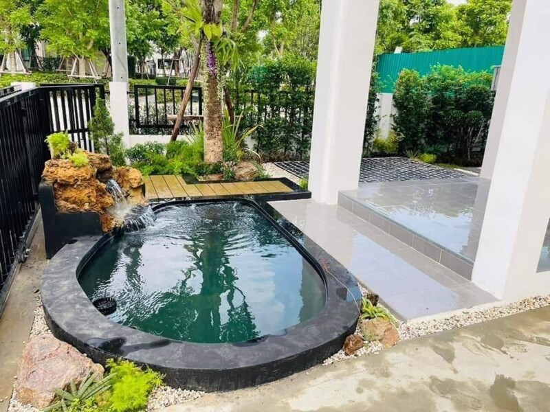 SiamKoiHouse.co.th สร้างสรรค์ บ่อปลาคาร์ฟและสวนสวยในฝัน ด้วยทีมงานมืออาชีพ (20)