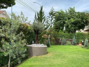 SiamKoiHouse.co .th สร้างสรรค์ บ่อปลาคาร์ฟและสวนสวยในฝัน ด้วยทีมงานมืออาชีพ 201