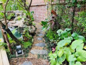 SiamKoiHouse.co.th รับสร้างบ่อปลาคาร์ฟ 21 SiamKoiHouse.co .th สร้างสรรค์ บ่อปลาคาร์ฟและสวนสวยในฝัน ด้วยทีมงานมืออาชีพ 211