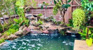 SiamKoiHouse.co .th สร้างสรรค์ บ่อปลาคาร์ฟและสวนสวยในฝัน ด้วยทีมงานมืออาชีพ 213