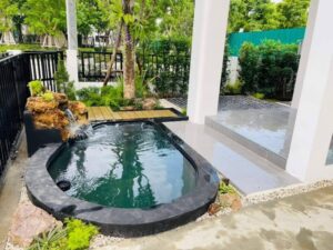 SiamKoiHouse.co .th สร้างสรรค์ บ่อปลาคาร์ฟและสวนสวยในฝัน ด้วยทีมงานมืออาชีพ 215