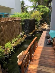 SiamKoiHouse.co .th สร้างสรรค์ บ่อปลาคาร์ฟและสวนสวยในฝัน ด้วยทีมงานมืออาชีพ 219