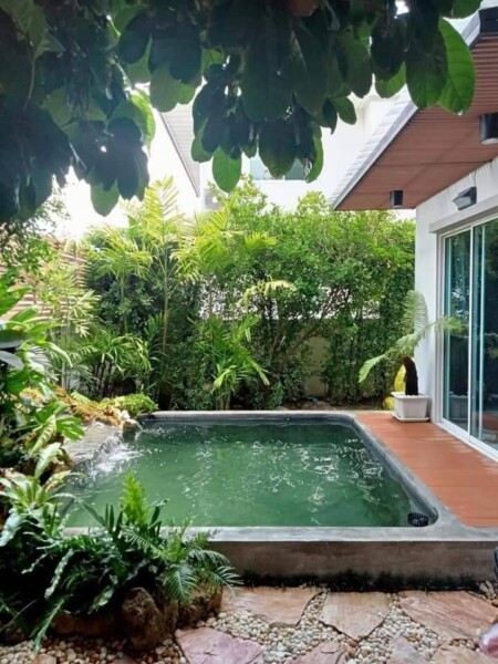 SiamKoiHouse.co.th สร้างสรรค์ บ่อปลาคาร์ฟและสวนสวยในฝัน ด้วยทีมงานมืออาชีพ (22)