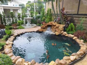 SiamKoiHouse.co .th สร้างสรรค์ บ่อปลาคาร์ฟและสวนสวยในฝัน ด้วยทีมงานมืออาชีพ 225