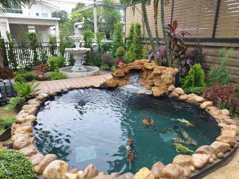 SiamKoiHouse.co.th สร้างสรรค์ บ่อปลาคาร์ฟและสวนสวยในฝัน ด้วยทีมงานมืออาชีพ (225)