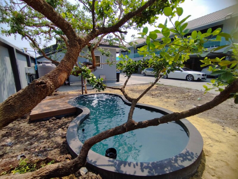 SiamKoiHouse.co.th สร้างสรรค์ บ่อปลาคาร์ฟและสวนสวยในฝัน ด้วยทีมงานมืออาชีพ (46)