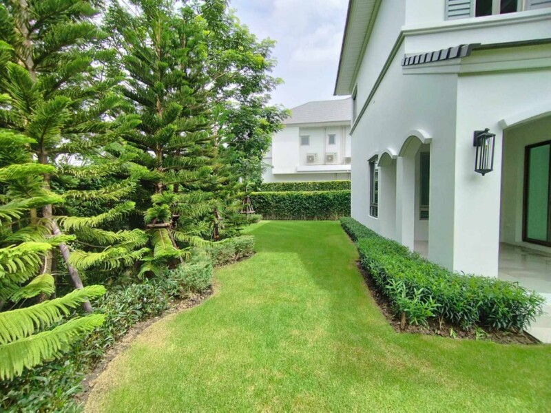SiamKoiHouse.co.th สร้างสรรค์ บ่อปลาคาร์ฟและสวนสวยในฝัน ด้วยทีมงานมืออาชีพ (95)