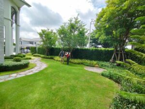 SiamKoiHouse.co.th รับสร้างบ่อปลาคาร์ฟ 33 SiamKoiHouse.co .th สร้างสรรค์ บ่อปลาคาร์ฟและสวนสวยในฝัน ด้วยทีมงานมืออาชีพ 96