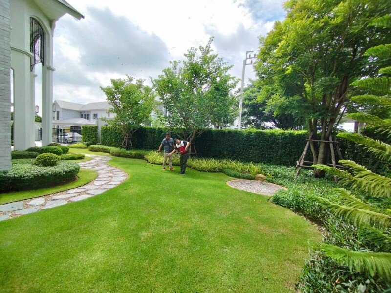 SiamKoiHouse.co.th สร้างสรรค์ บ่อปลาคาร์ฟและสวนสวยในฝัน ด้วยทีมงานมืออาชีพ (96)
