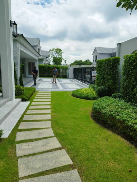 SiamKoiHouse.co.th สร้างสรรค์ บ่อปลาคาร์ฟและสวนสวยในฝัน ด้วยทีมงานมืออาชีพ (98)