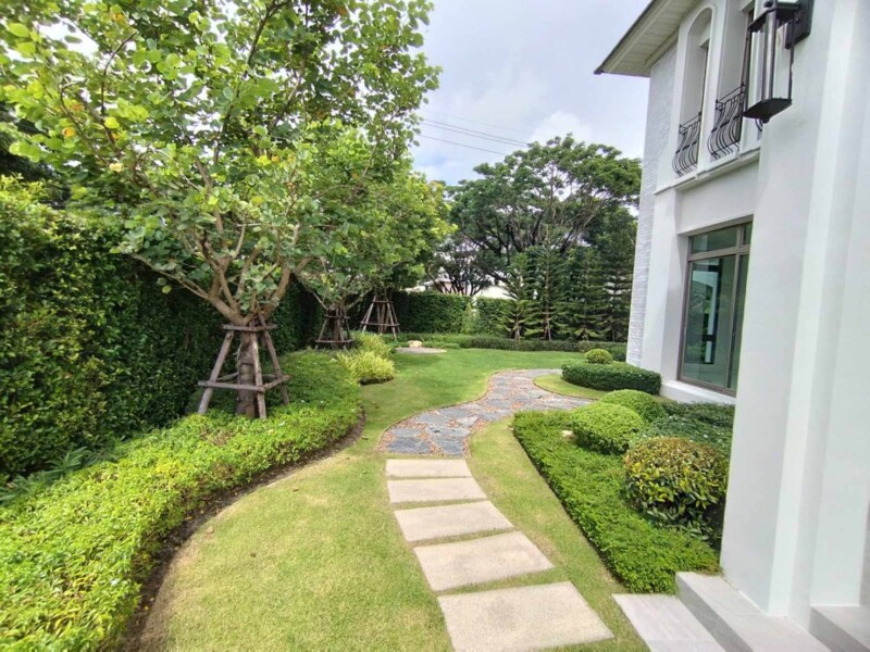 SiamKoiHouse.co.th สร้างสรรค์ บ่อปลาคาร์ฟและสวนสวยในฝัน ด้วยทีมงานมืออาชีพ (99)