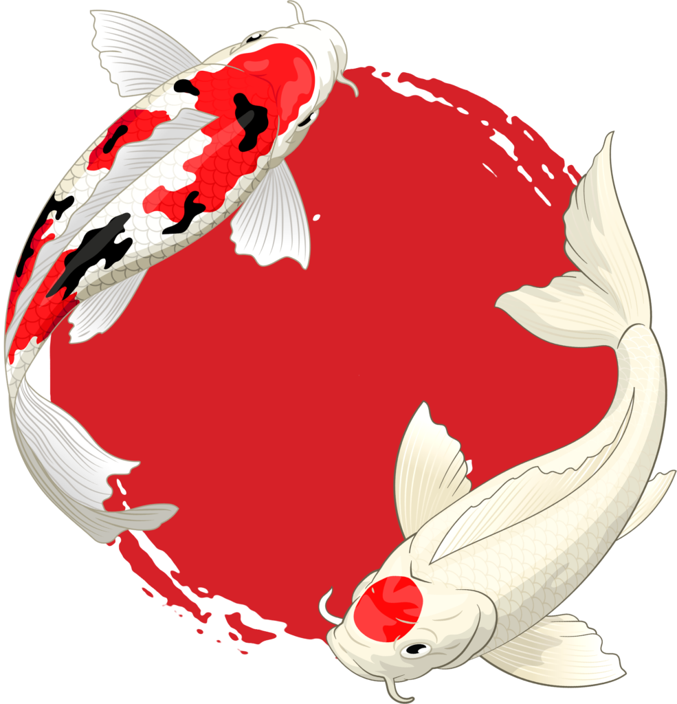 koi2