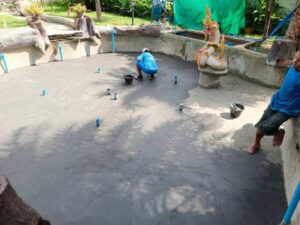 FB IMG 1728428982447