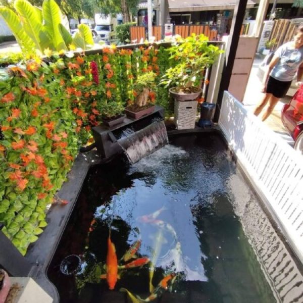SiamKoiHouse.co.th สร้างสรรค์ บ่อปลาคาร์ฟและสวนสวยในฝัน ด้วยทีมงานมืออาชีพ (1)