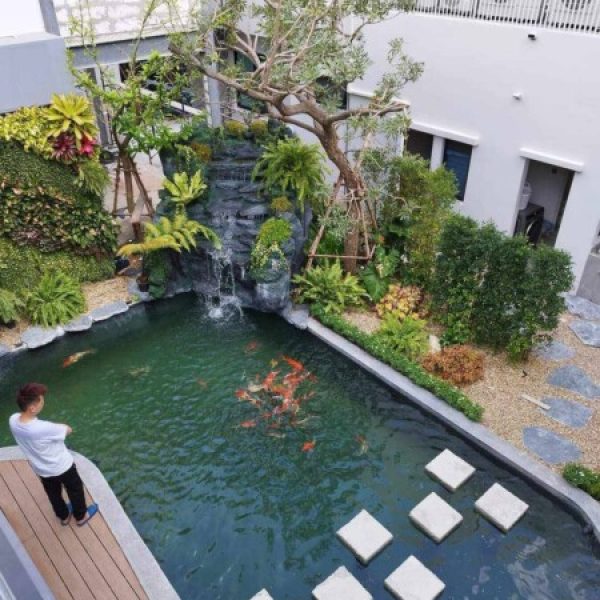 SiamKoiHouse.co.th สร้างสรรค์ บ่อปลาคาร์ฟและสวนสวยในฝัน ด้วยทีมงานมืออาชีพ (122)