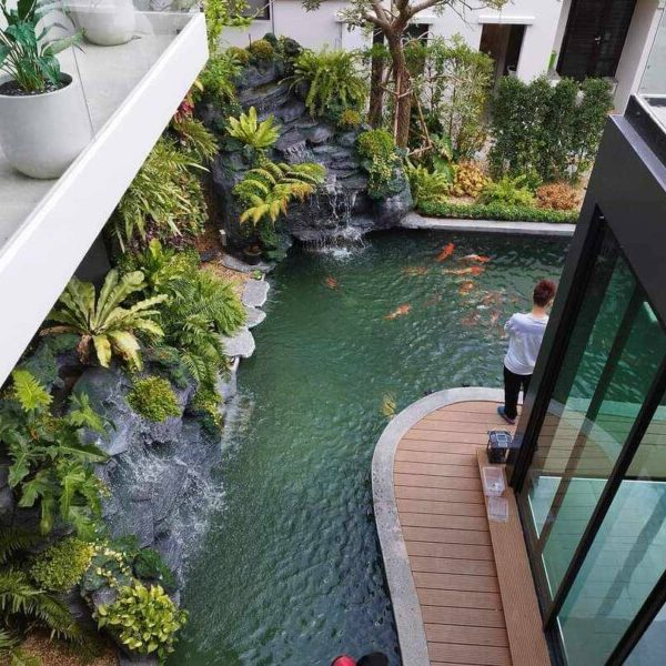 SiamKoiHouse.co.th สร้างสรรค์ บ่อปลาคาร์ฟและสวนสวยในฝัน ด้วยทีมงานมืออาชีพ (123)