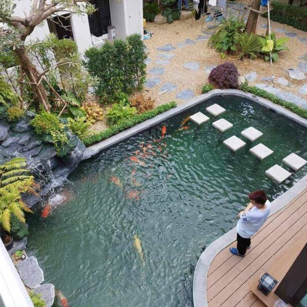 SiamKoiHouse.co.th สร้างสรรค์ บ่อปลาคาร์ฟและสวนสวยในฝัน ด้วยทีมงานมืออาชีพ (126)