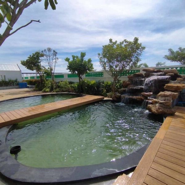 SiamKoiHouse.co.th สร้างสรรค์ บ่อปลาคาร์ฟและสวนสวยในฝัน ด้วยทีมงานมืออาชีพ (143)