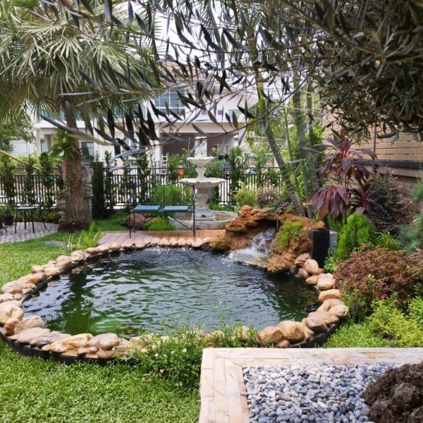 SiamKoiHouse.co.th สร้างสรรค์ บ่อปลาคาร์ฟและสวนสวยในฝัน ด้วยทีมงานมืออาชีพ (160)