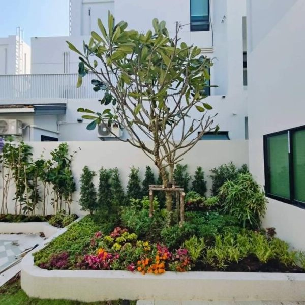 SiamKoiHouse.co.th สร้างสรรค์ บ่อปลาคาร์ฟและสวนสวยในฝัน ด้วยทีมงานมืออาชีพ (184)