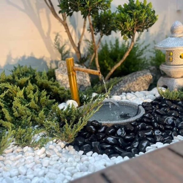 SiamKoiHouse.co.th สร้างสรรค์ บ่อปลาคาร์ฟและสวนสวยในฝัน ด้วยทีมงานมืออาชีพ (192)