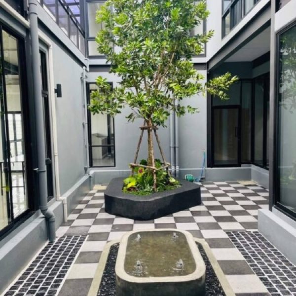 SiamKoiHouse.co.th สร้างสรรค์ บ่อปลาคาร์ฟและสวนสวยในฝัน ด้วยทีมงานมืออาชีพ (195)