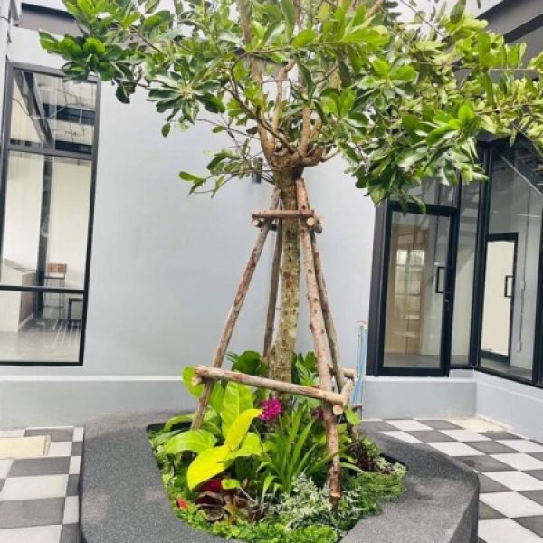 SiamKoiHouse.co.th สร้างสรรค์ บ่อปลาคาร์ฟและสวนสวยในฝัน ด้วยทีมงานมืออาชีพ (197)